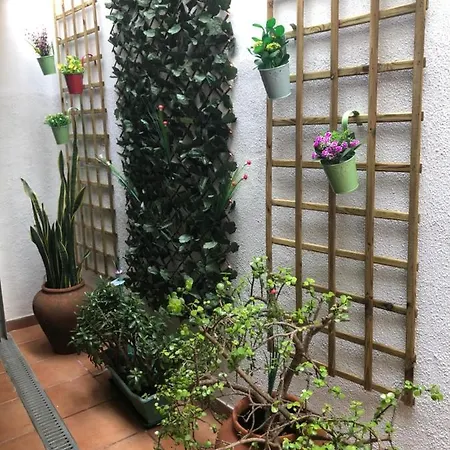 Merry's House