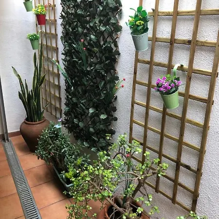 Pensionat Merry's House 4*