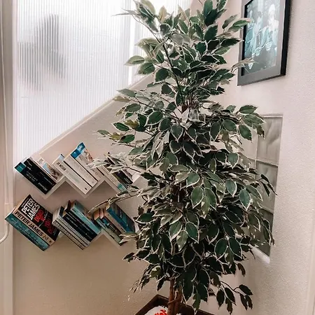 Merry's House Guest house